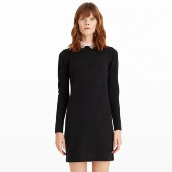Club Monaco 100% Merino Wool Knit Sweater Dress With Collar Small - Picture 1 of 11